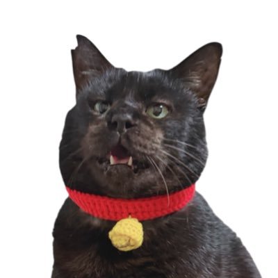 musashi_m_nya's profile picture