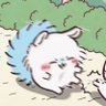 ももんが's profile picture