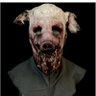 lionheart's profile picture