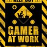 Gamer 的头像