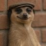 Kelvin nipi's profile picture