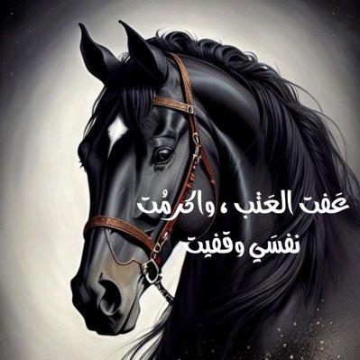 NonneOtb's profile picture