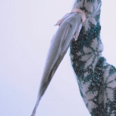 생선이...'s profile picture