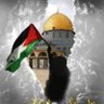 Saad Bennad 🐝🔻's profile picture