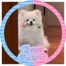 cmshiii's profile picture