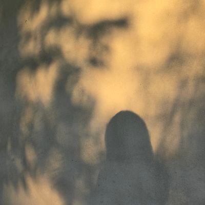 namw33n's profile picture