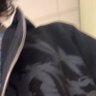 K Bandzo's profile picture