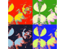 Codeeey's profile picture