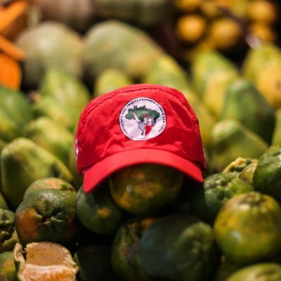 MST Oficial's profile picture