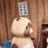 Фото профиля ふうき(ponkichi)