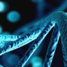 Genetically Modified Media (GMM) profil fotoğrafı