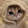 The Fighting Hellkitties 的头像