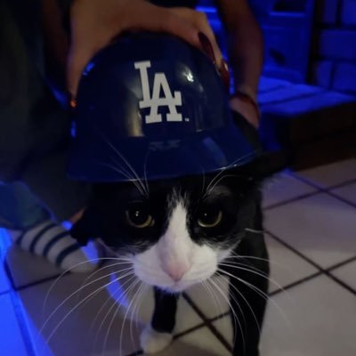 alex⁷'s profile picture