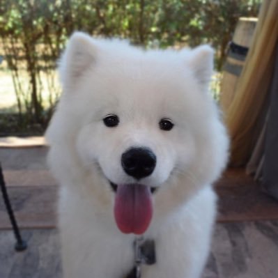 focusontae_'s profile picture