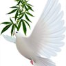 ‘SKO! 🕊's profile picture