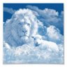 Lion of Judah.'s profile picture