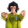 Profilbild von Monkey Fitacrepe Ⓜ️