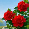 Sadaqat Ali's profile picture
