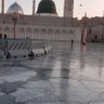 نور المدينة's profile picture