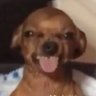 Danny6 profil fotoğrafı