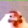 Ethan89X profil fotoğrafı