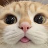 Фото профиля ゆう