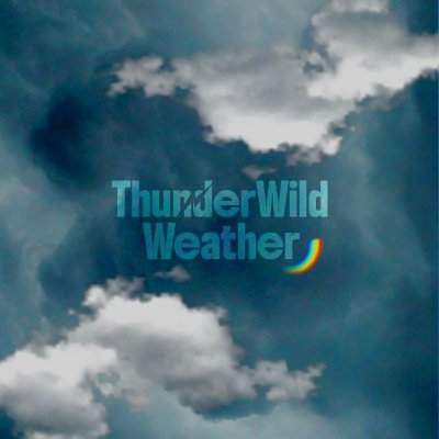 ThunderWild Weather's profile picture