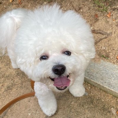 kamlp's profile picture