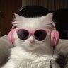فراشه 🦋's profile picture