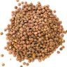 Lentils 的头像