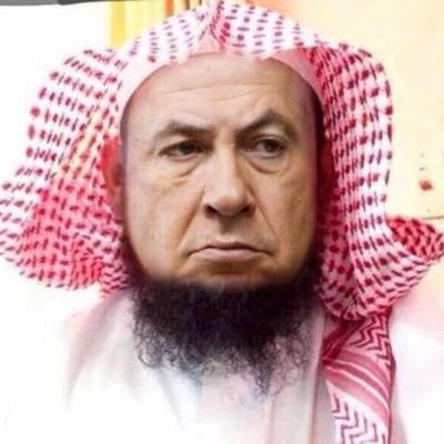 Themunafiqslayer's profile picture