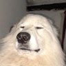 Profilbild von @historias