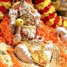 Godavari amma 的头像