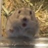 Profilbild von さささささ