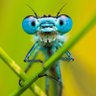 Фото профиля Danny Mark