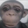 Quantern's profile picture