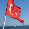 Tarafsız profil fotoğrafı