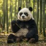 Profilbild von LeoDDD