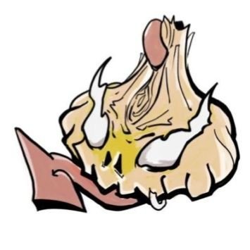 ザ ニンクス's profile picture