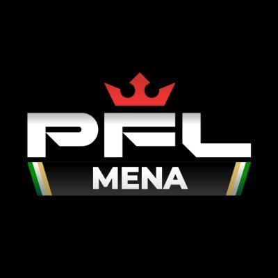 PFLMENA's profile picture