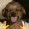 Profilbild von Luis123