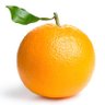 oranges's profile picture