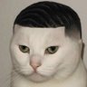 Profilbild von かぶらぎ(ハイエナ)