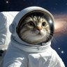 ブラサナダ〜「多文化強制で自文化破壊」を阻止 profil fotoğrafı