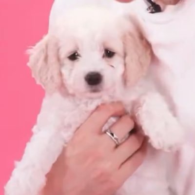 Mong__b92's profile picture