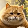 Profilbild von j