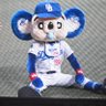 ドラDREAM's profile picture