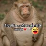 Фото профиля พี่หมีเมืองเลย