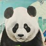 haohao 的头像