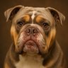 robin north's profile picture